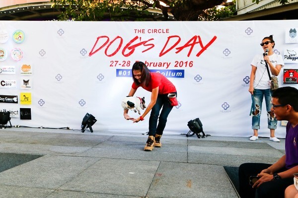 เชียร์ ฑิฆัมพร ควงคู่น้องหมาสุดเลิฟประชันน้องหมาเน็ทไอดอล อาสาช่วยเหลือหมาจร ในงาน The Circle Dog’s Day