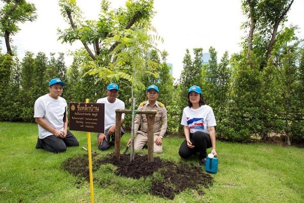 “ยาสูบไทย หัวใจสีเขียว” ชาวยาสูบรวมพลังปลูกต้นไม้ 77 จังหวัด เตรียมพร้อมก่อนพิธีเปิดสวนป่าเบญจกิติอย่างเป็นทางการ