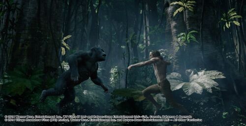 รีบดูฉากต่อสู้ The Legend of Tarzan  ที่ไม่มีให้เห็นในโรงภาพยนตร์