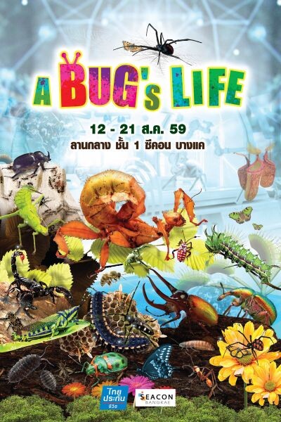 “ซีคอน บางแค” จัดงาน “A Bug’s Life” ความมหัศจรรย์ของโลกแห่งแมลง