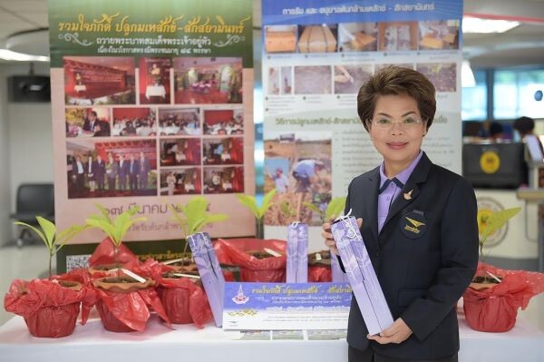 ไปรษณีย์ไทย เฉลิมพระเกียรติ 12 สิงหา มหาราชินี ชวนคนไทยปลูกต้นกล้า “มเหสักข์ - สักสยามินทร์” ณ ที่ทำการไปรษณีย์ทั่วประเทศ