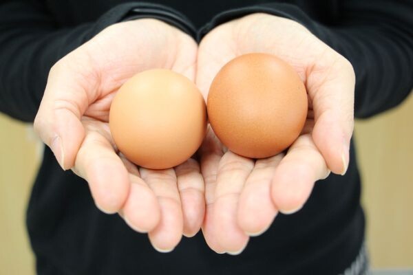 นักวิชาการชี้ไข่ไก่ประโยชน์เยอะ แนะทานได้ทุกวันช่วยสร้างสุขภาพแข็งแรง