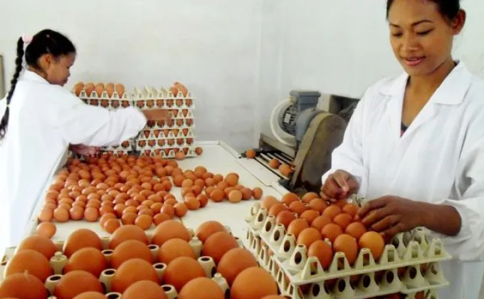 ผู้เลี้ยงหมู-ไก่ไข่ ชี้ราคาผลผลิตลดเป็นโอกาสผู้บริโภค
