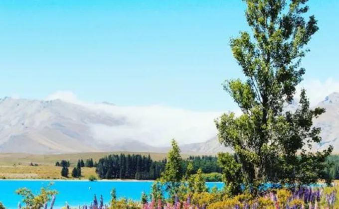 ทะเลสาบเทคาโป ขึ้นแท่นสถานที่สุดฮิตในนิวซีแลนด์ที่ถูกแชร์ภาพ