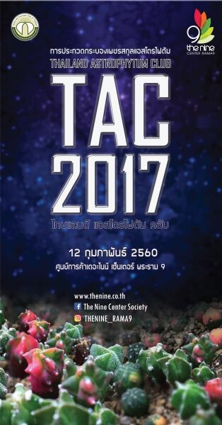 เดอะไนน์ เซ็นเตอร์ พระราม 9 ชวนคนรักกระบองเพชรดวงดาวแห่งทะเลทราย มาช้อปที่งาน 'Thailand Astrophytum Club 2017’