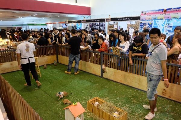 “PET EXPO THAILAND 2017”  ปีนี้ผู้จัดเตรียมแน่น เตรียมหนัก...จนต้องร้อง ว๊ากกกกก!!!  เพราะมัน น่าร็อค…อ่า...