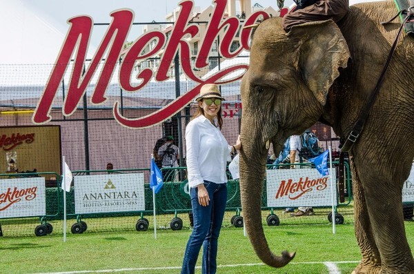 “Mekhong” แม่โขง ตอกย้ำแนวคิด “เดอะ สปิริต ออฟไทยแลนด์” สนับสนุน การแข่งขันโปโลช้างชิงถ้วยพระราชทานพระบาทสมเด็จพระเจ้าอยู่หัว ครั้งที่ 15 ต่อเนื่องเป็นปีที่ 6 พร้อมสานต่อปณิธานในการอนุรักษ์ช้างไทย
