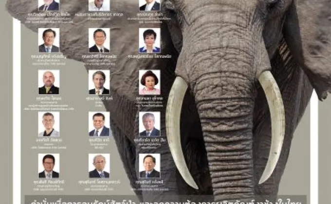 ผู้นำธุรกิจไทย ยืนหยัดปกป้องช้าง