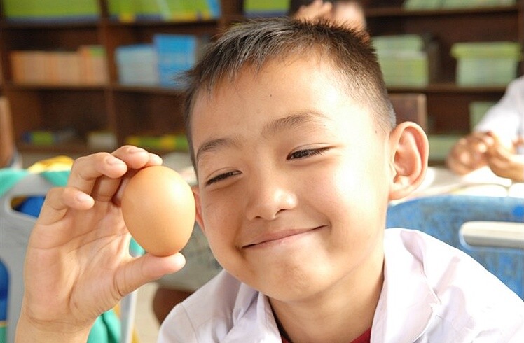รวมพลังรณรงค์คนไทย “กินไข่ทุกวัน กินได้ทุกวัย” ตั้งเป้าปี 2561 ถึง 300 ฟอง/คน/ปี
