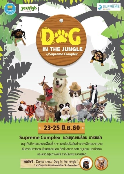 Dog in The Jungle 2017