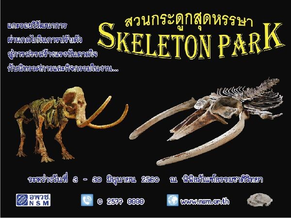 ต้อนรับเปิดเทอมนี้ กับ งาน Open House พิพิธภัณฑ์ธรรมชาติวิทยา  ในกิจกรรมชุด “สวนกระดูกสุดหรรษา : Skeleton Park” จัดเต็มตลอดเดือน มิ.ย. 60