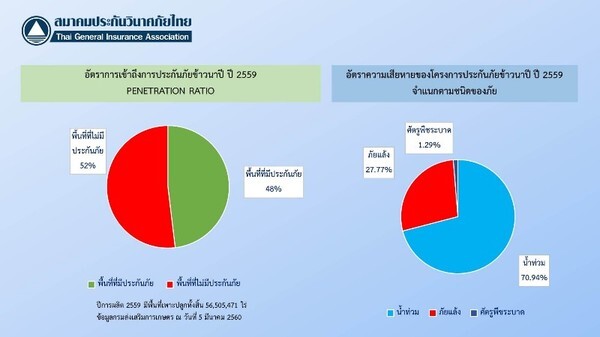 สมาคมประกันวินาศภัยไทย เผย 24 บริษัทพร้อมรับประกันภัยข้าวนาปี 2560