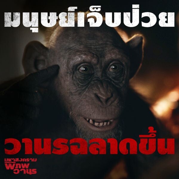 Movie Guide: Virus Clip ที่แฟนหนังต้องดู!! จาก War for the Planet of the Apes