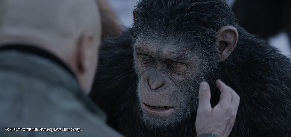 จัดเต็มภาพจากหนัง War for the Planet of the Apes - มหาสงครามพิภพวานร ก่อนสงครามบังเกิดอีกครั้ง 13 กรกฎาคมนี้ ในโรงภาพยนตร์