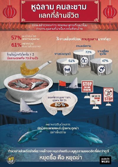 องค์กรไวล์ดเอดเผย คนไทยส่วนใหญ่นิยมบริโภคหูฉลาม ส่งสัญญาณน่าเป็นห่วงชีวิตฉลามโลก