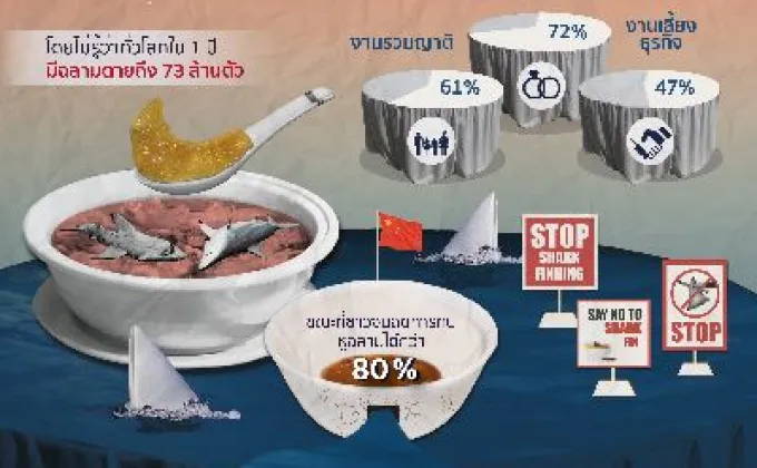 องค์กรไวล์ดเอดเผย คนไทยส่วนใหญ่นิยมบริโภคหูฉลาม