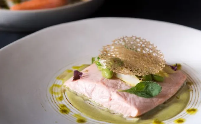 ห้องอาหาร เอเลแมนท์ ขอแนะนำเมนูปลาแซลมอนในฤดูวางไข่จากฮอกไกโด