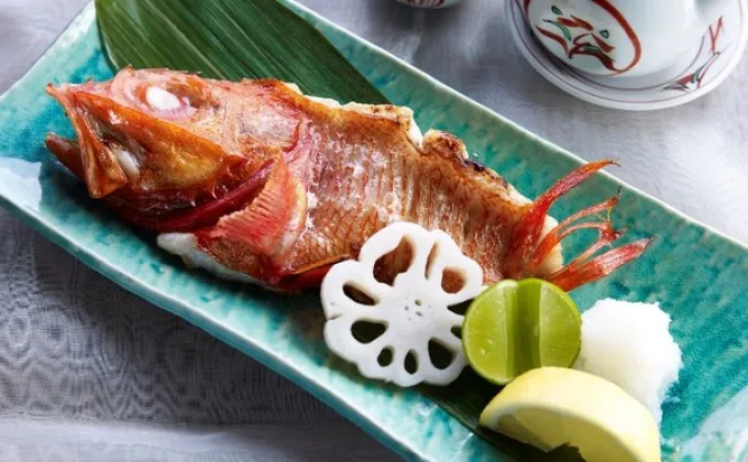 เชิญลิ้มลองความอร่อยประจำฤดูกาลจากเมนูปลาคิงกิ