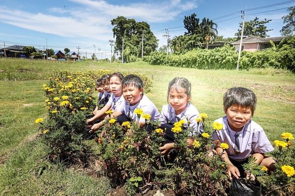 เด็กๆ อนุบาล ชาว 'สาธิตกรุงเทพธนบุรี’ ปลูกดาวเรือง หวังบานสะพรั่ง ทั่วทั้งแผ่นดิน