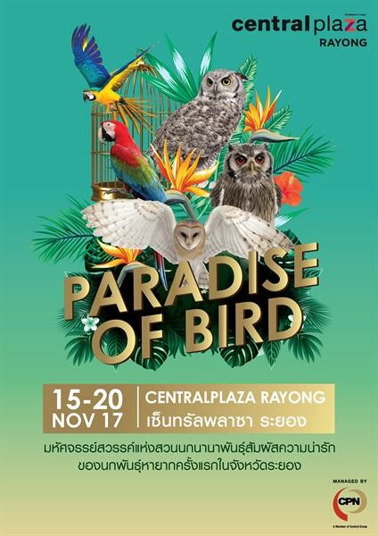 งาน "Paradise of Birds@CentralPlaza Rayong" ระหว่างวันที่ 15 - 20 พฤศจิกายน 2560 ณ ลานกิจกรรม ชั้น 1 ศูนย์การค้าเซ็นทรัลพลาซา ระยอง