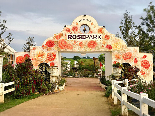 ฟ้าประทาน โรสพาร์ค (Faprathan Rose Park) ดินแดนแห่งดอกกุหลาบเมืองหนาวนับแสนดอกใจกลางวังน้ำเขียว พร้อมรับนักท่องเที่ยวตลอดหนาวนี้