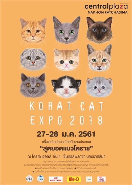 ครั้งแรกในประเทศไทยกับการประกวด สุดยอดแมวโคราช ในงาน Korat Cat Expo 2018