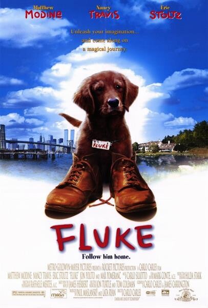 ช่อง 13 เอาใจคอภาพยนตร์ดราม่าแฟนตาซี เรื่องราวสุดวุ่นวายของสุนัขแสนรู้ ในภาพยนตร์เรื่อง “FLUKE เกิดใหม่กลายเป็นหมา”