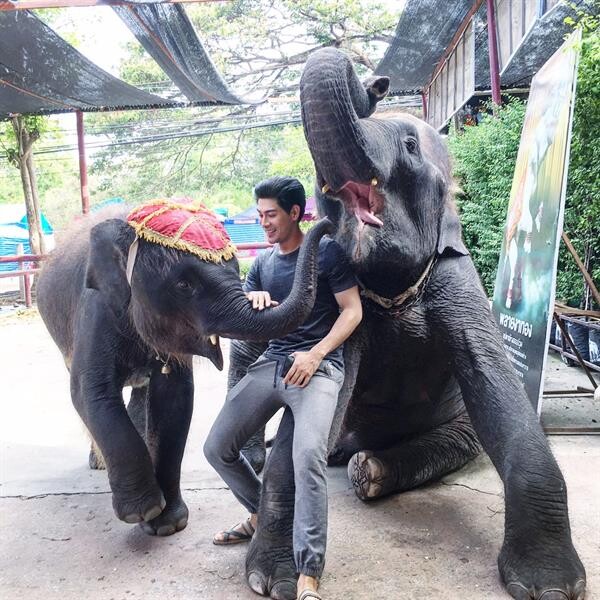 "มังกร” วอน “รักช้าง อย่าฆ่าช้าง” เนื่องในวันช้างไทย