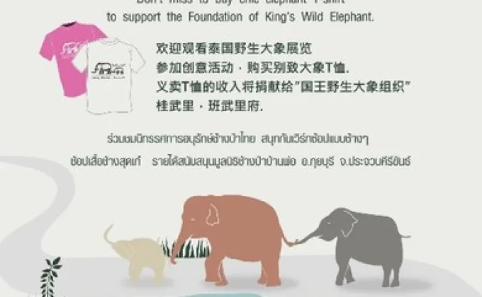 กิจกรรมวันช้างไทย – นอกจากนั้นแล้วยังเปิดโอกาสให้นักท่องเที่ยว