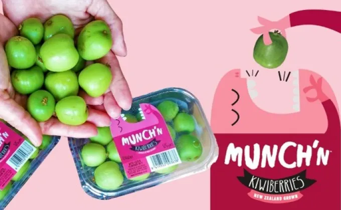Munch’n kiwiberries - ซูเปอร์ฟรุตขนาดจิ๋วสุดคิ้วท์พันธุ์ใหม่มาถึงเมืองไทยแล้ว!
