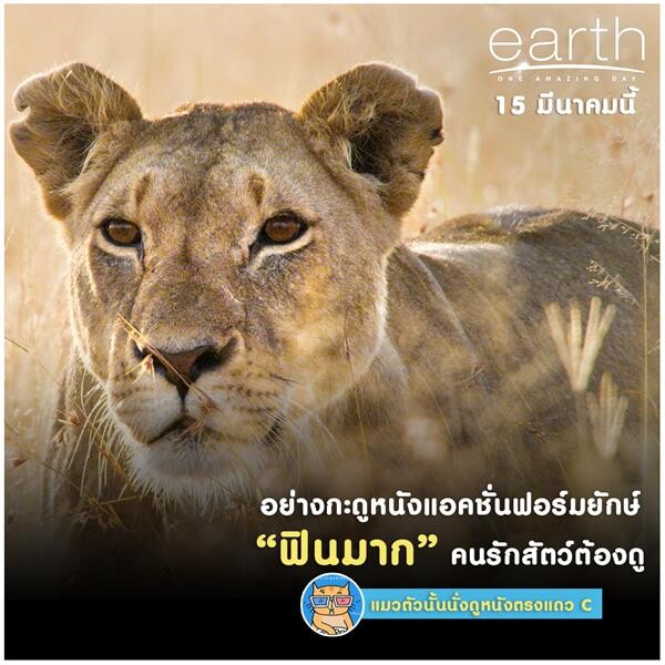 earth : One Amazing Day เอิร์ธ 1 วันมหัศจรรย์สัตว์โลก กวาดคะแนนรีวิวเต็ม 100 โดนใจผู้ชมทุกเพศทุกวัย