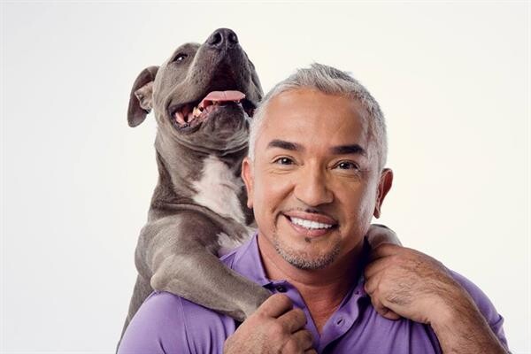 “ซีซาร์ มิลลาน” ส่งรายการ “Cesar’s Recruit Asia Season 2” เฟ้นหาสุดยอดนักปรับพฤติกรรมสุนัขแห่งเอเชีย