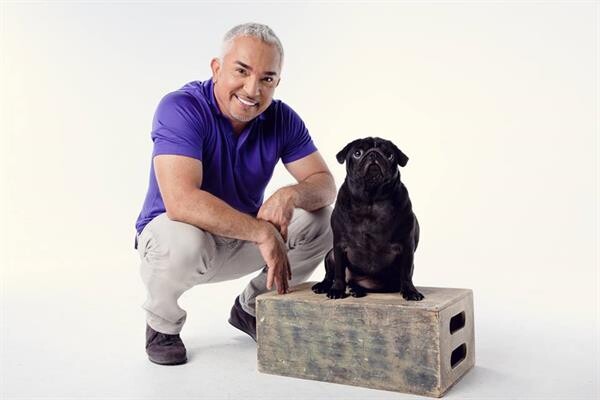 “ซีซาร์ มิลลาน” ส่งรายการ “Cesar’s Recruit Asia Season 2” เฟ้นหาสุดยอดนักปรับพฤติกรรมสุนัขแห่งเอเชีย