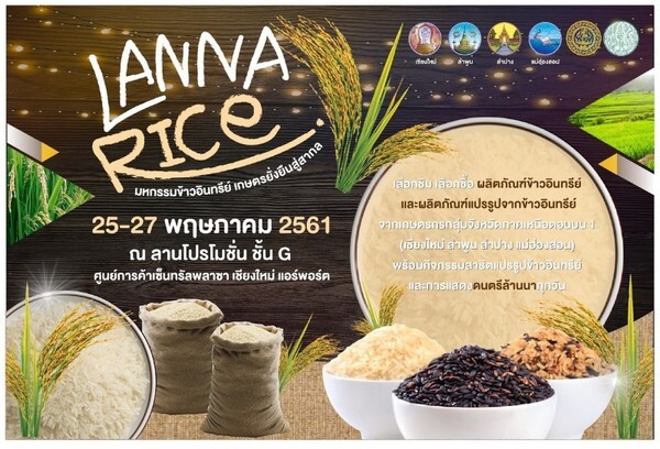 Lanna Rice มหกรรมข้าวอินทรีย์ เกษตรยั่งยืนสู่สากล