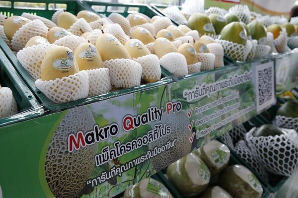 แม็คโคร ส่งเสริมเกษตรกรไทย สร้างผลผลิตคุณภาพ เปิดตัวโครงการ “แม็คโคร คัดสรรคุณภาพ เคียงข้างเกษตรกรไทย”