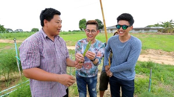 ทีวีไกด์: รายการ “ครัวลั่นทุ่ง” “ไผ่ พาทิศ” ตะลุยสวน “หน่อไม้ฝรั่ง” ปลื้ม ! ได้เรียนรู้วิถีชีวิตเกษตรกรไทย