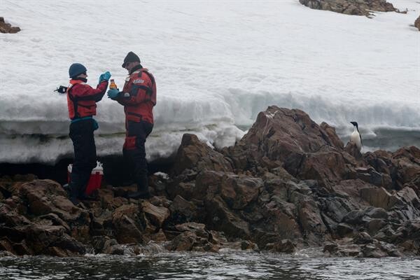 ทีมสำรวจของกรีนพีซ พบขยะพลาสติกและสารพิษอันตราย ในน่านน้ำ แอนตาร์กติก