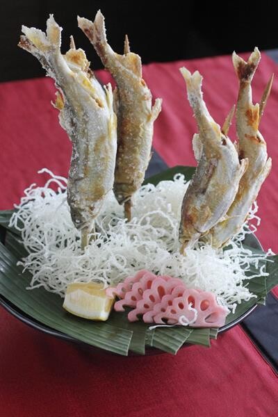 เอาใจคนรักสุขภาพด้วยเมนู “ปลาอายุ” ปลาดี ราชินีแห่งสายน้ำ  ปรุงสไตล์ญี่ปุ่นต้นตำรับ ณ ห้องอาหารญี่ปุ่นฮากิ โรงแรมเซ็นทาราแกรนด์ เซ็นทรัลพลาซา ลาดพร้าว กรุงเทพฯ