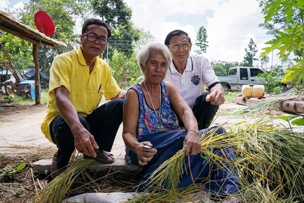 สี่ประเทศ ร่วมผนึกกำลังพัฒนาระบบการผลิตข้าวอัจฉริยะที่เป็นมิตรกับสิ่งแวดล้อม มุ่งเพิ่มรายได้ให้กับเกษตรกรไทย