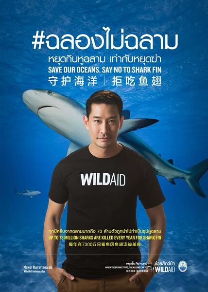 ไวล์ดเอดจับมือ ทช. รณรงค์ #ฉลองไม่ฉลาม กับป้อง ณวัฒน์ ชวนคนไทยเลิกหูฉลาม