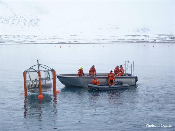 จากขั้วโลกใต้สู่ขั้วโลกเหนือ 2 นักวิจัยไทยร่วมเดินทางสู่อาร์กติก เตรียมดำน้ำเพื่องานวิจัยครั้งแรกของเอเชีย
