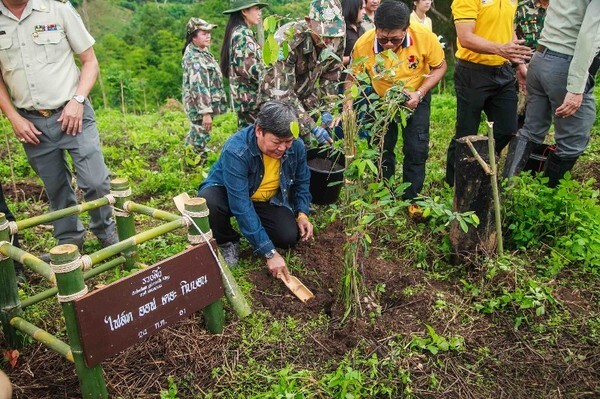 “ไฟล์ท ออฟ เดอะ กิบบอน” ปลุกกระแสปลูกป่า 17,600 ต้น ถวายในหลวง