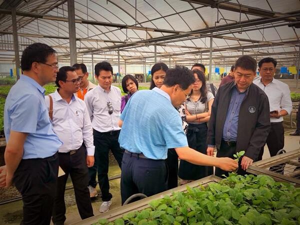 ยกทัพสหกรณ์ไทยเรียนรู้เกษตรแปลงใหญ่ปลูกผักในโรงเรือนที่เมืองซานตง ประเทศจีน ต้นแบบพัฒนาการเกษตรโดยใช้เทคโนโลยียกระดับคุณภาพและเพิ่มมูลค่าผลผลิต