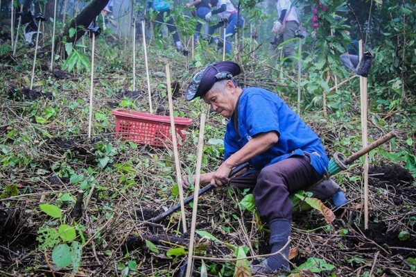 “ไฟล์ท ออฟ เดอะ กิบบอน” รวมพลังปลูกคนละกล้าเพื่อป่าแม่กำปอง