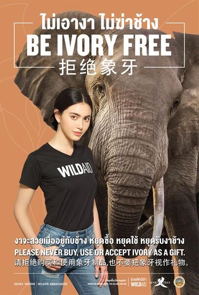 ใหม่ ดาวิกา ร้องเพลงช้าง ชวนคนไทย #ไม่เอางาไม่ฆ่าช้าง กับองค์กรไวล์ดเอด และกรมอุทยานฯ