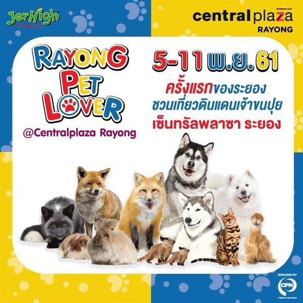 เซ็นทรัลพลาซา ระยอง ขอเชิญชวนเที่ยวงาน “Rayong Pet Lover @CentralPlaza Rayong” รวมสัตว์ขนฟูหลายสายพันธ์จากทั่วโลก และสัตว์แปลกหาชมยาก