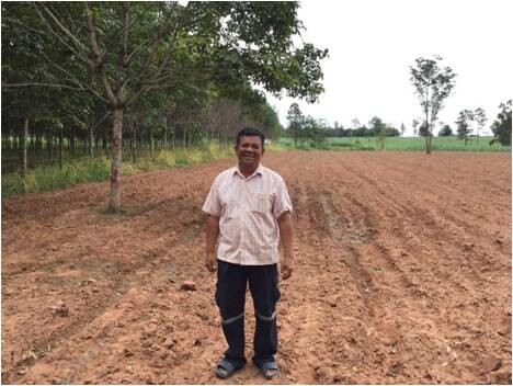 ติดตามไทยนิยม กษ. ปรับเปลี่ยนพื้นที่ปลูกยาง พัฒนาอาชีพเกษตรกรเพื่อความยั่งยืน