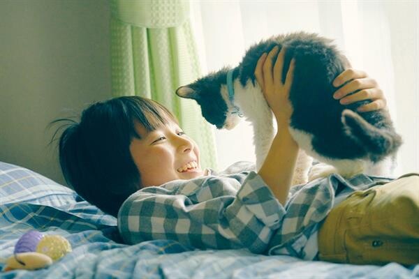 Movie Guide: THE TRAVELLING CAT CHRONICLES ผมแมวและการเดินทางของเรา จากวรรณกรรมขายดีทั่วเอเชียสู่ภาพยนตร์เรียกน้ำตาผู้ชม ซึ้งแรง ! เปิดตัวอันดับ 2 บนตาราง บ็อกซ์ ออฟฟิศ ญี่ปุ่น