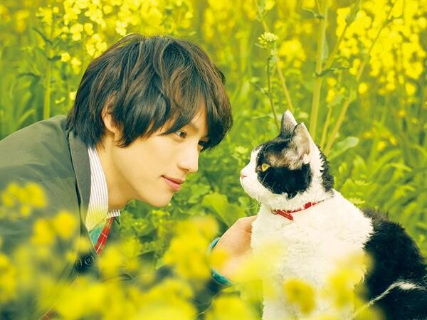 Movie Guide: THE TRAVELLING CAT CHRONICLES ผมแมวและการเดินทางของเรา จากวรรณกรรมขายดีทั่วเอเชียสู่ภาพยนตร์เรียกน้ำตาผู้ชม ซึ้งแรง ! เปิดตัวอันดับ 2 บนตาราง บ็อกซ์ ออฟฟิศ ญี่ปุ่น