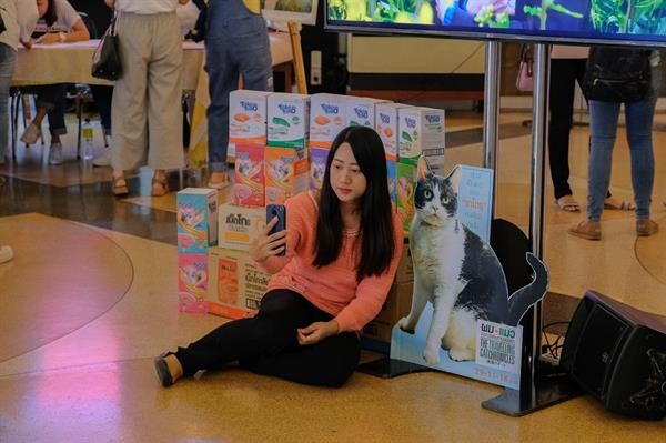 Movie Guide: แฟนคลับหนังญี่ปุ่นรวมพลังคนรักแมวปิดโรงสกาลา เหมารอบดู The Travelling Cat Chronicles ผมแมวและการเดินทางของเราอบอุ่นประทับใจ เรียกน้ำตาท่วมโรง